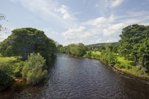 river wharfe ilkley 2012 1 sm.jpg